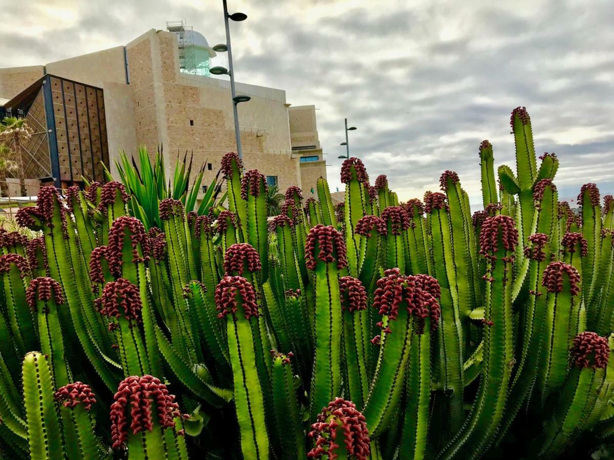 Leilighet Canary Islands Holidays Las Palmas de Gran Canaria